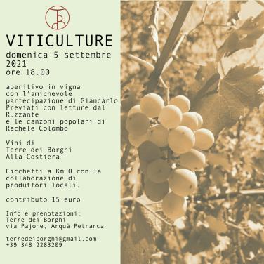 VITICULTURE #01