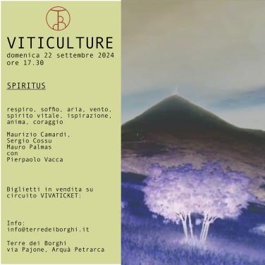 VITICULTURE #07 | SPIRITUS 